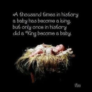 Meet your Posher, Elisabeth